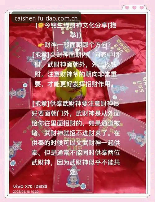 深度揭秘：财神送福好运日常背后的神奇体验，新手必看全攻略